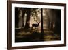 A Red Deer Stag Walks Through a Forest in the Early Morning Mist in Richmond Park in Autumn-Alex Saberi-Framed Photographic Print