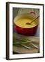 A Red Dutch Oven Holds a Pot of Homemade Soup-Cynthia Classen-Framed Photographic Print