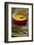 A Red Dutch Oven Holds a Pot of Homemade Soup-Cynthia Classen-Framed Photographic Print