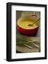 A Red Dutch Oven Holds a Pot of Homemade Soup-Cynthia Classen-Framed Photographic Print