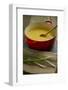 A Red Dutch Oven Holds a Pot of Homemade Soup-Cynthia Classen-Framed Photographic Print