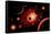 A Red Giant Star System-null-Framed Stretched Canvas