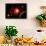 A Red Giant Star System-null-Framed Art Print displayed on a wall