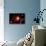 A Red Giant Star System-null-Stretched Canvas displayed on a wall