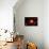 A Red Giant Star System-null-Art Print displayed on a wall