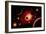 A Red Giant Star System-null-Framed Art Print