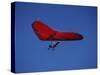 A Red Hang Glider-null-Stretched Canvas