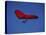 A Red Hang Glider-null-Stretched Canvas