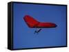 A Red Hang Glider-null-Framed Stretched Canvas