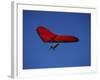 A Red Hang Glider-null-Framed Photographic Print