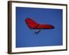 A Red Hang Glider-null-Framed Photographic Print