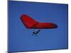 A Red Hang Glider-null-Mounted Photographic Print