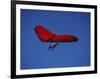 A Red Hang Glider-null-Framed Photographic Print