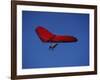 A Red Hang Glider-null-Framed Photographic Print