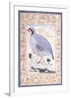 A Red-Legged Partridge, C. Mid 17th Century-null-Framed Giclee Print