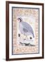 A Red-Legged Partridge, C. Mid 17th Century-null-Framed Giclee Print