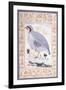 A Red-Legged Partridge, C. Mid 17th Century-null-Framed Giclee Print