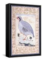 A Red-Legged Partridge, C. Mid 17th Century-null-Framed Stretched Canvas