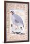 A Red-Legged Partridge, C. Mid 17th Century-null-Framed Giclee Print