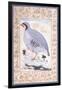 A Red-Legged Partridge, C. Mid 17th Century-null-Framed Giclee Print