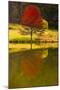 A Red Maple Tree's Reflection in the Pond in Autumn, Vienna, Virginia.-Jolly Sienda-Mounted Photographic Print