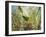 A Red-Necked Tanager, Tangara Cyanocephala, Feeds from the Fruits of a Palm Tree in Ubatuba, Brazil-Alex Saberi-Framed Photographic Print