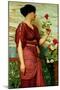 A Red, Red Rose-John William Godward-Mounted Giclee Print