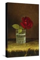 A Red Rose-Martin Johnson Heade-Stretched Canvas