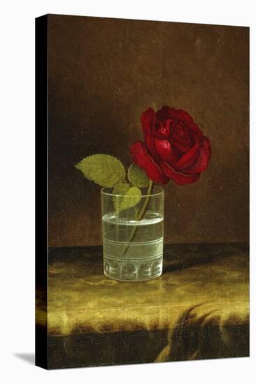 A Red Rose-Martin Johnson Heade-Stretched Canvas