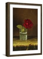 A Red Rose-Martin Johnson Heade-Framed Giclee Print