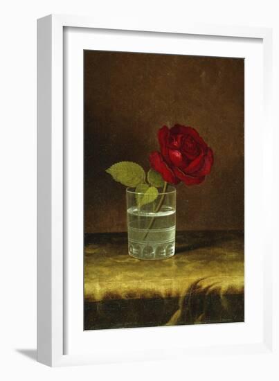 A Red Rose-Martin Johnson Heade-Framed Giclee Print