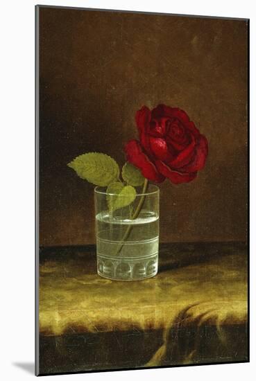 A Red Rose-Martin Johnson Heade-Mounted Giclee Print