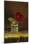 A Red Rose-Martin Johnson Heade-Mounted Giclee Print