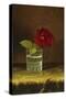 A Red Rose-Martin Johnson Heade-Stretched Canvas