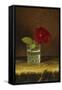 A Red Rose-Martin Johnson Heade-Framed Stretched Canvas