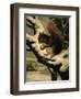 A Red Squirrel Eating a Nut-Basil Bradley-Framed Giclee Print