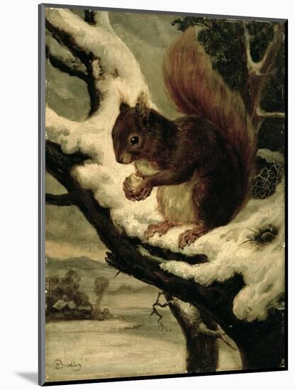 A Red Squirrel Eating a Nut-Basil Bradley-Mounted Giclee Print