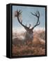 A Red Stag Adorns Himself with Foliage on a Winter Morning in Richmond Park-Alex Saberi-Framed Stretched Canvas