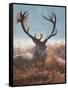 A Red Stag Adorns Himself with Foliage on a Winter Morning in Richmond Park-Alex Saberi-Framed Stretched Canvas