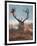 A Red Stag Adorns Himself with Foliage on a Winter Morning in Richmond Park-Alex Saberi-Framed Premium Photographic Print