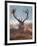 A Red Stag Adorns Himself with Foliage on a Winter Morning in Richmond Park-Alex Saberi-Framed Photographic Print