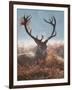 A Red Stag Adorns Himself with Foliage on a Winter Morning in Richmond Park-Alex Saberi-Framed Photographic Print