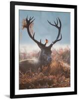 A Red Stag Adorns Himself with Foliage on a Winter Morning in Richmond Park-Alex Saberi-Framed Photographic Print