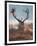 A Red Stag Adorns Himself with Foliage on a Winter Morning in Richmond Park-Alex Saberi-Framed Photographic Print