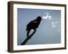 A Red-Winged Blackbird-null-Framed Photographic Print