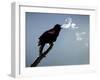 A Red-Winged Blackbird-null-Framed Photographic Print