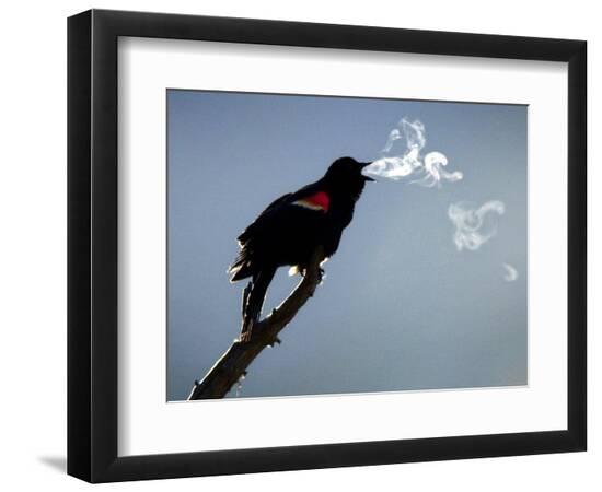 Premium Photographic Print, , large