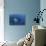 A Reef Manta Ray Swims Past a Coral Reef in the Solomon Islands-Stocktrek Images-Photographic Print displayed on a wall