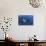 A Reef Manta Ray Swims Past a Coral Reef in the Solomon Islands-Stocktrek Images-Mounted Photographic Print displayed on a wall