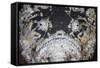 A Reef Stonefish Blends into its Underwater Surroundings-Stocktrek Images-Framed Stretched Canvas